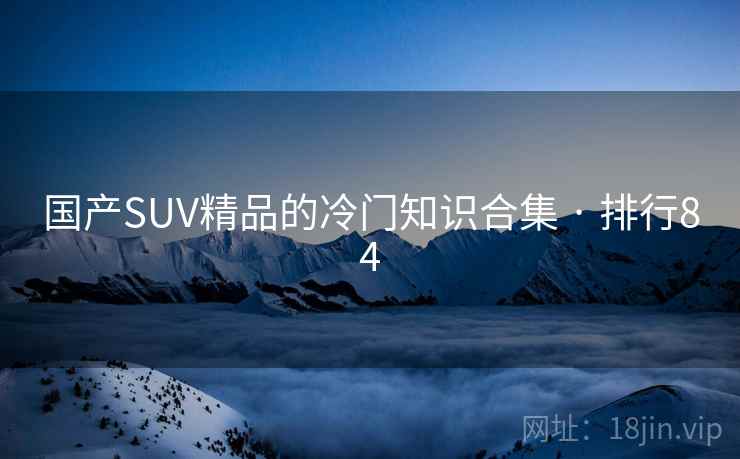 国产SUV精品的冷门知识合集 · 排行84
