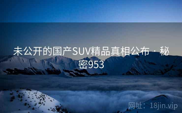 未公开的国产SUV精品真相公布 · 秘密953
